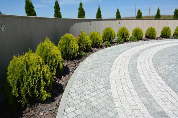 Best Decorative Driveway Pavers  in Blountstown, FL